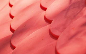 Panbride plastic roof costs