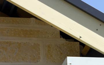 soffit repair Panbride